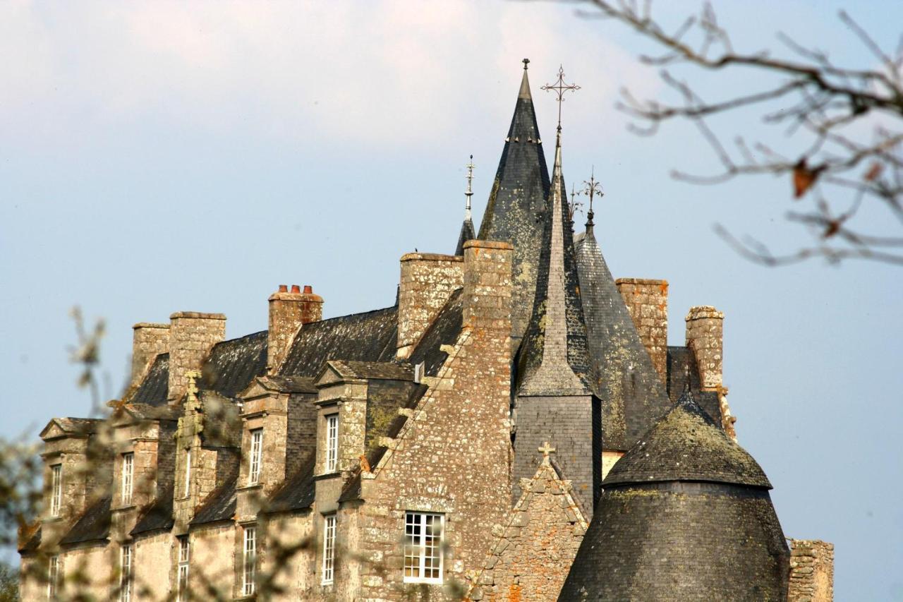 Chateau De Bourgon Montourtier Eksteriør bilde