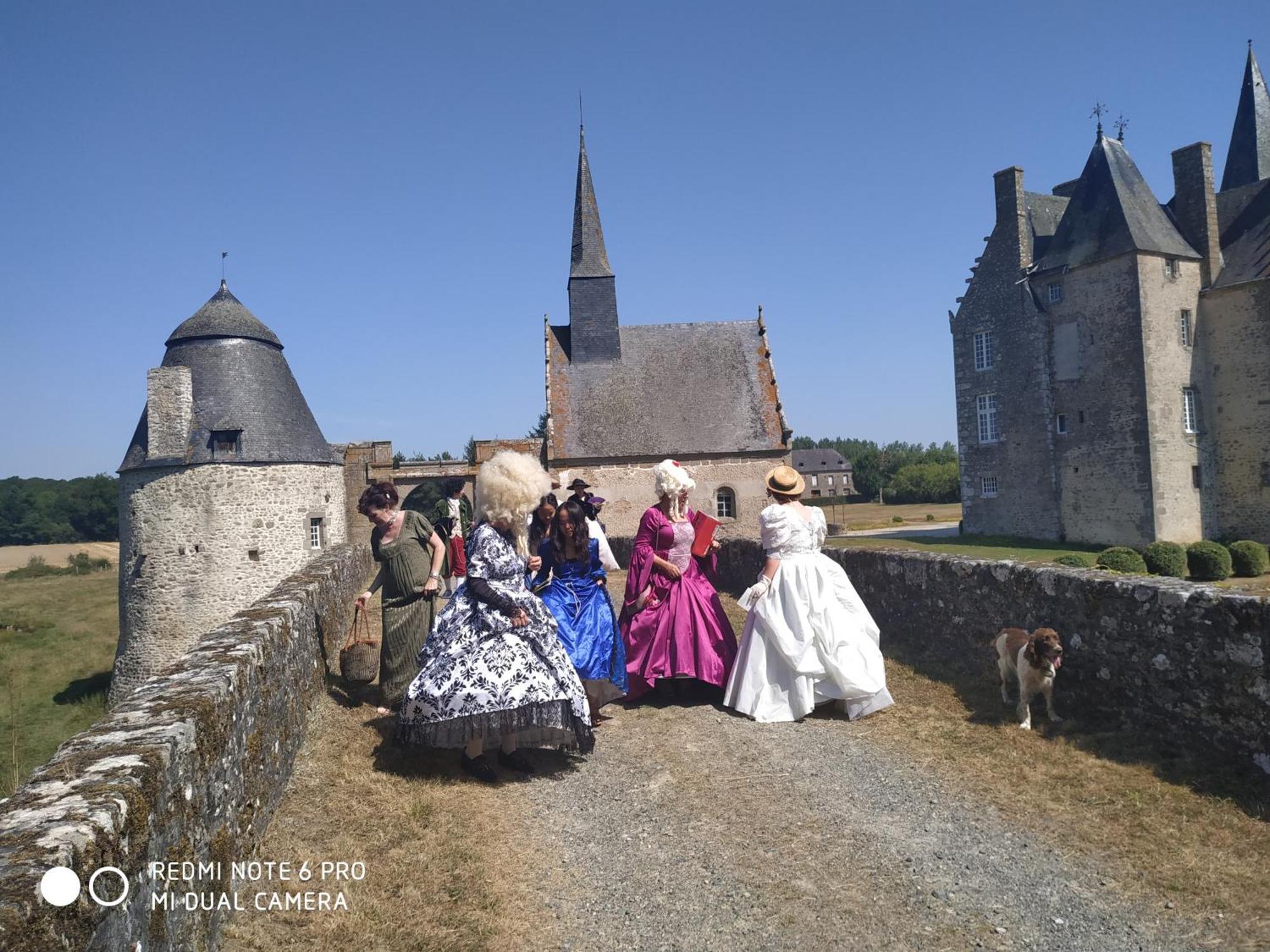 Chateau De Bourgon Montourtier Eksteriør bilde
